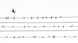 How to Read Ukulele Music Notation